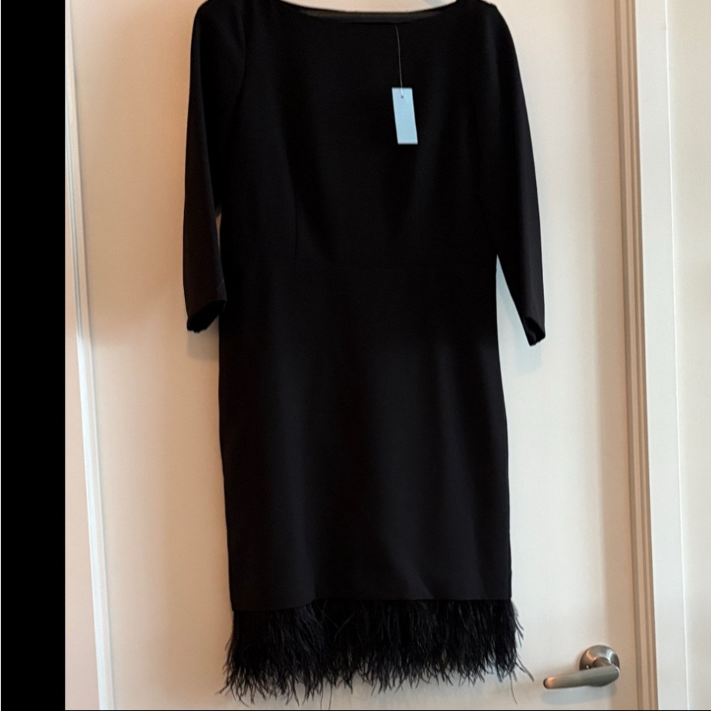 Ann Taylor Elegant Black Feather Hem Dress
